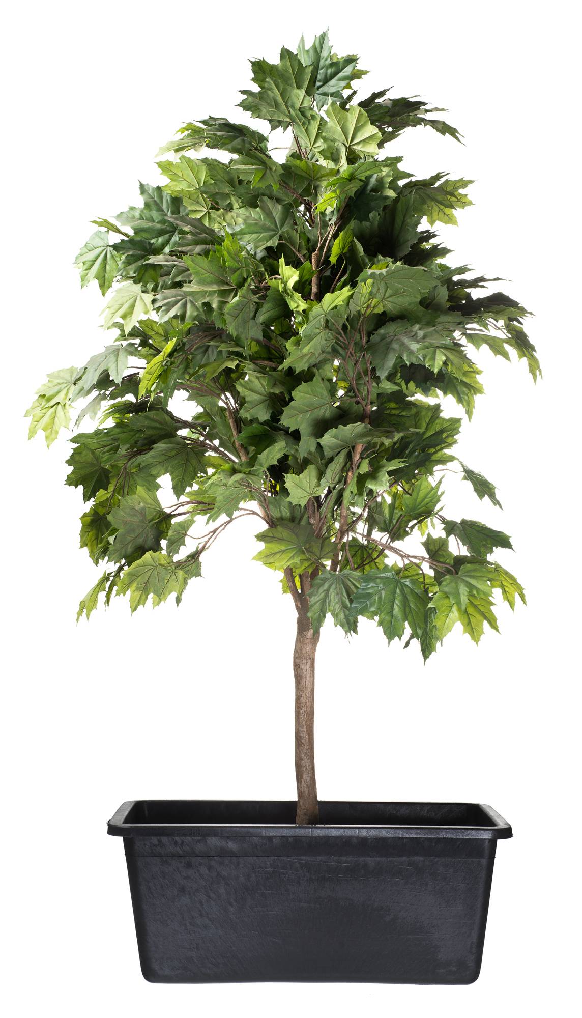 Ubbink - Estanque preformado Victoria Quadro 3 rectangular 150 L - Ubbink