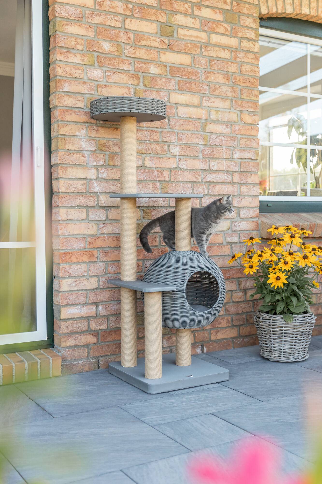Trixie - TRIXIE Árbol para gatos de exterior Amalia, grande, 143 cm, gris - Imagen 2