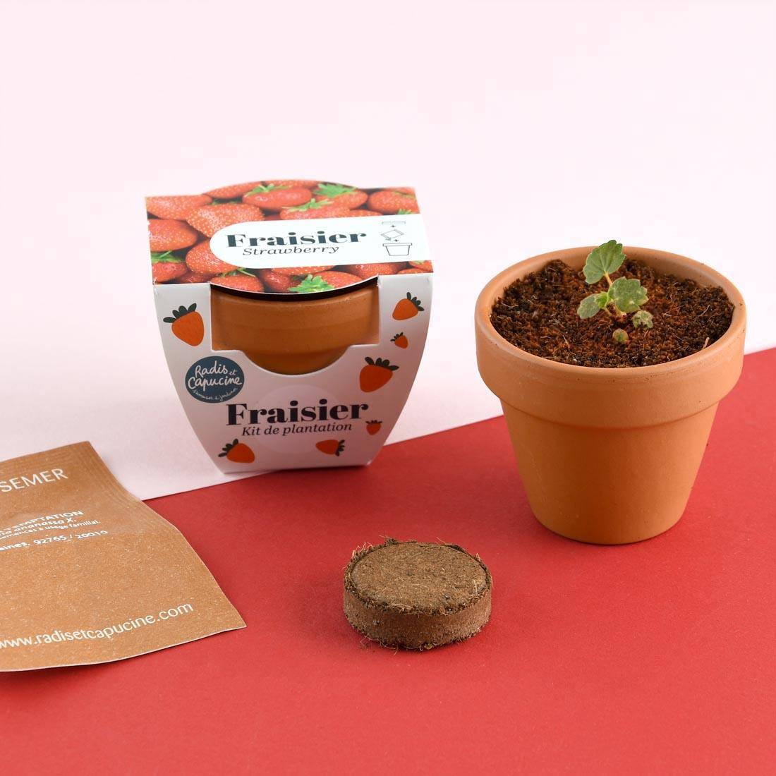 Radis et Capucine - Mini Kit de Plantation - Fraisier - Pot en Terre Cuite - Radis et Capucine - Image 2