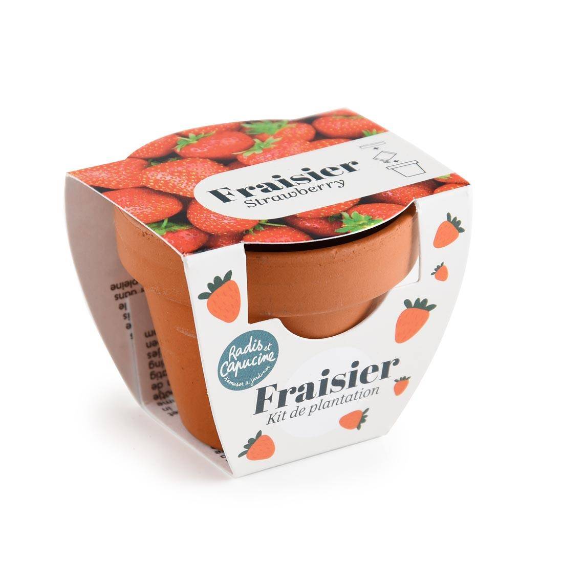 Radis et Capucine - Mini Kit de Plantation - Fraisier - Pot en Terre Cuite - Radis et Capucine - Image 1