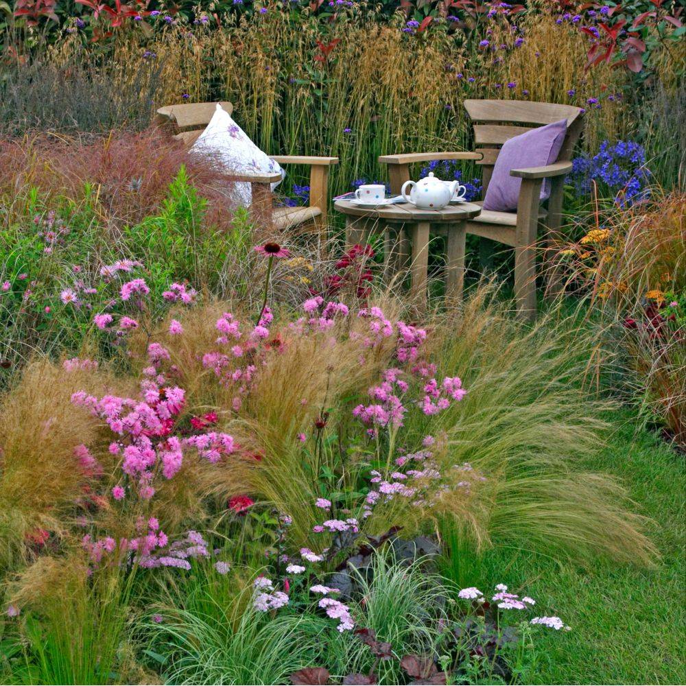 STIPA tenuissima en pot de 4 litres